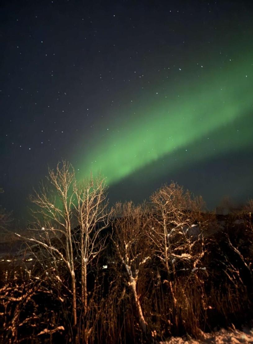 Koselig Leilighet I Narvik Sentrum 5 Soveplasser Gratis Parkering Og Gratis Internett Buitenkant foto