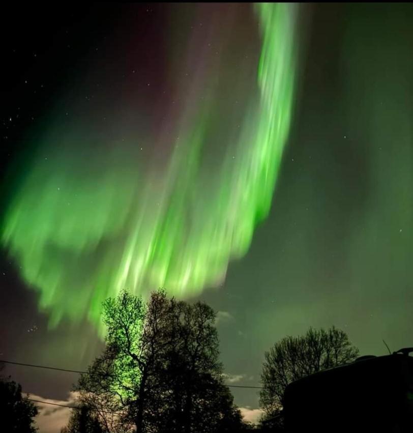 Koselig Leilighet I Narvik Sentrum 5 Soveplasser Gratis Parkering Og Gratis Internett Buitenkant foto