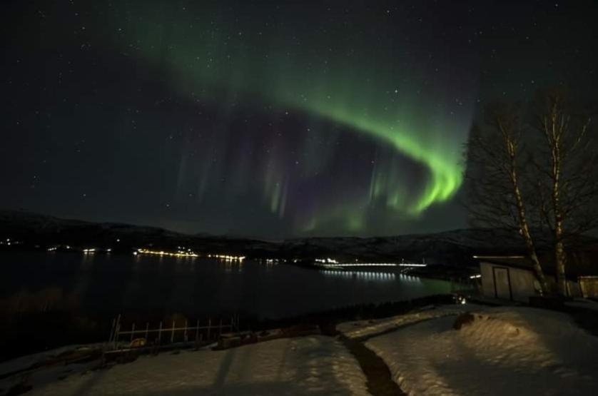 Koselig Leilighet I Narvik Sentrum 5 Soveplasser Gratis Parkering Og Gratis Internett Buitenkant foto